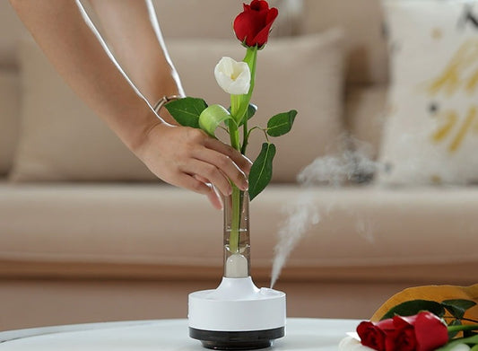 Time Vase Humidifier – Compact Decorative Air Humidifier with Transparent Water Tank