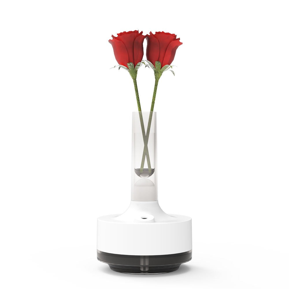 Time Vase Humidifier – Compact Decorative Air Humidifier with Transparent Water Tank